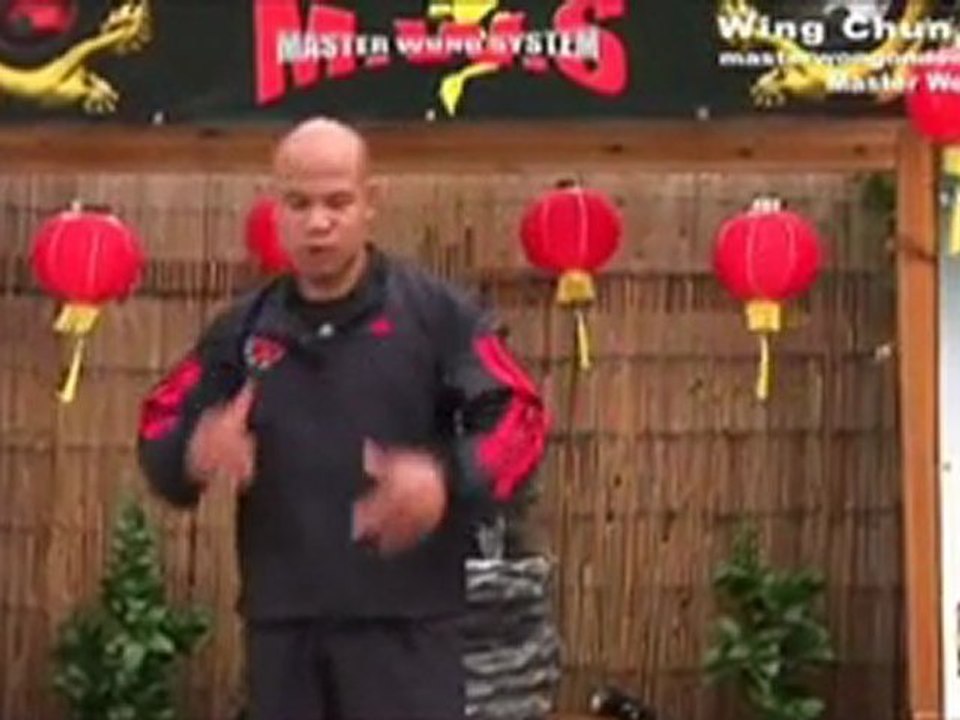 Master Wong Wing Chun - Mini Course - 9 Lessons