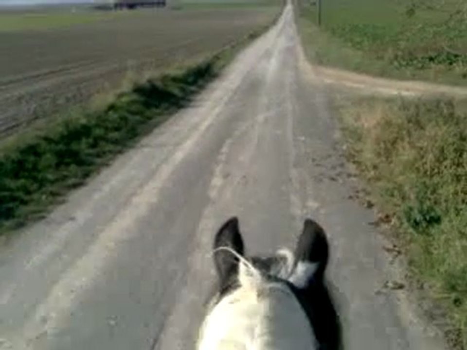 balade avec mon Freezouille