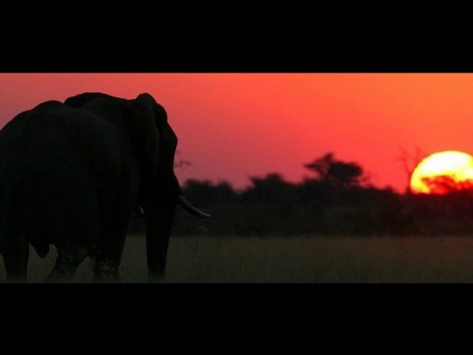 Winston Reedy & The Donkey Jaw Bone - Make a Change -