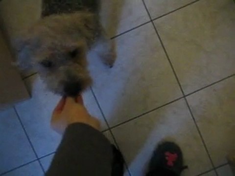 Kenzo scéance de travail