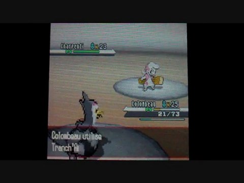 W.T Pokemon Blanc / 19 : Le retour du Froid