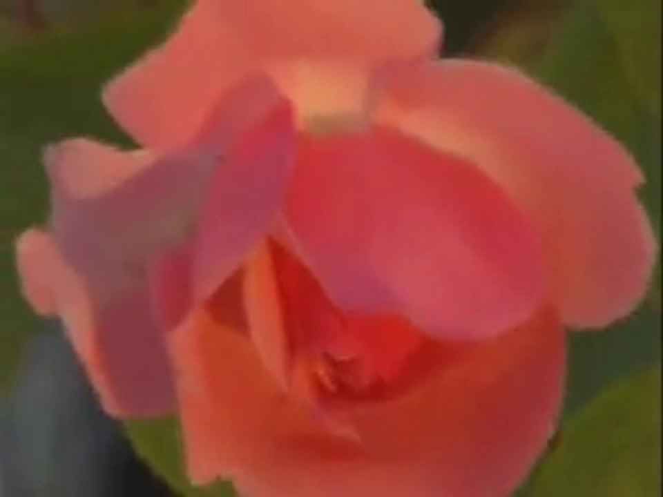 www.yolumislam.net