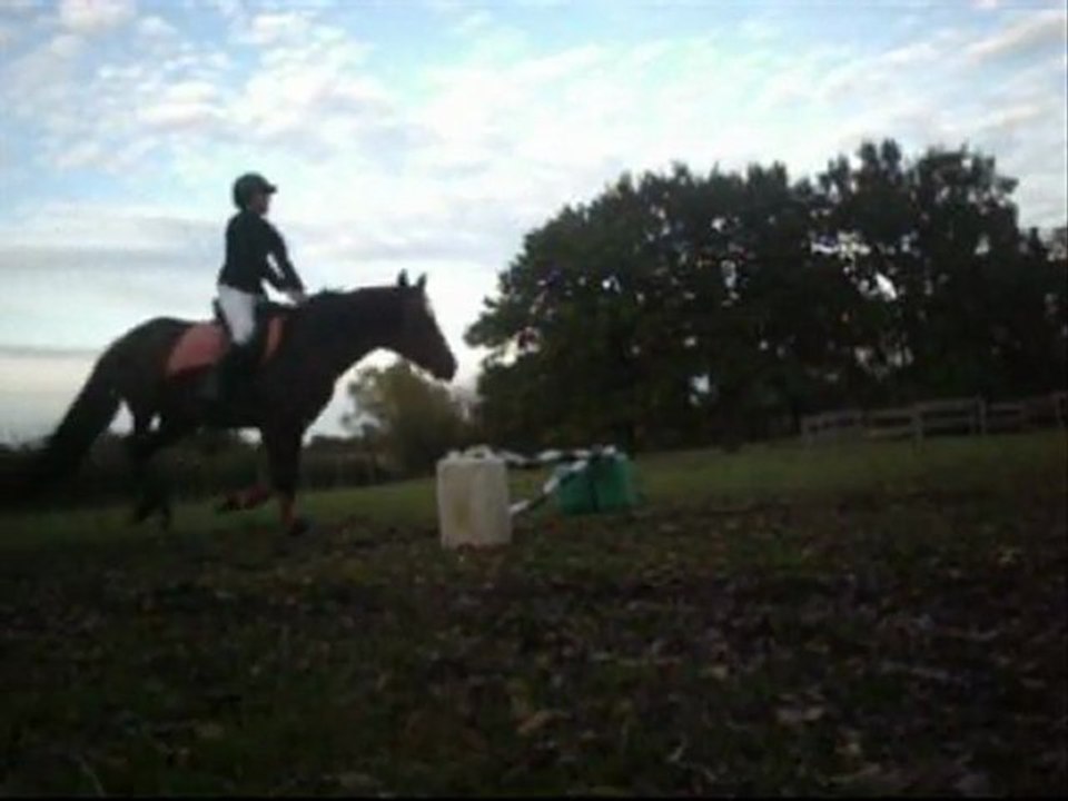 Brasiliana et moi (saut le 26octobre 2011