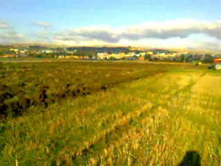 Massey ferguson 5455