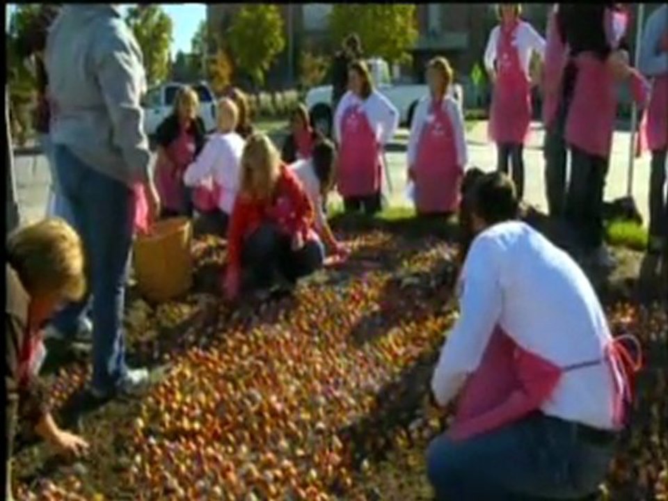 Surprising Ways to Help Fight Breast Cancer