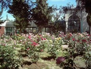 Grup Hacegan - Aman Seydam