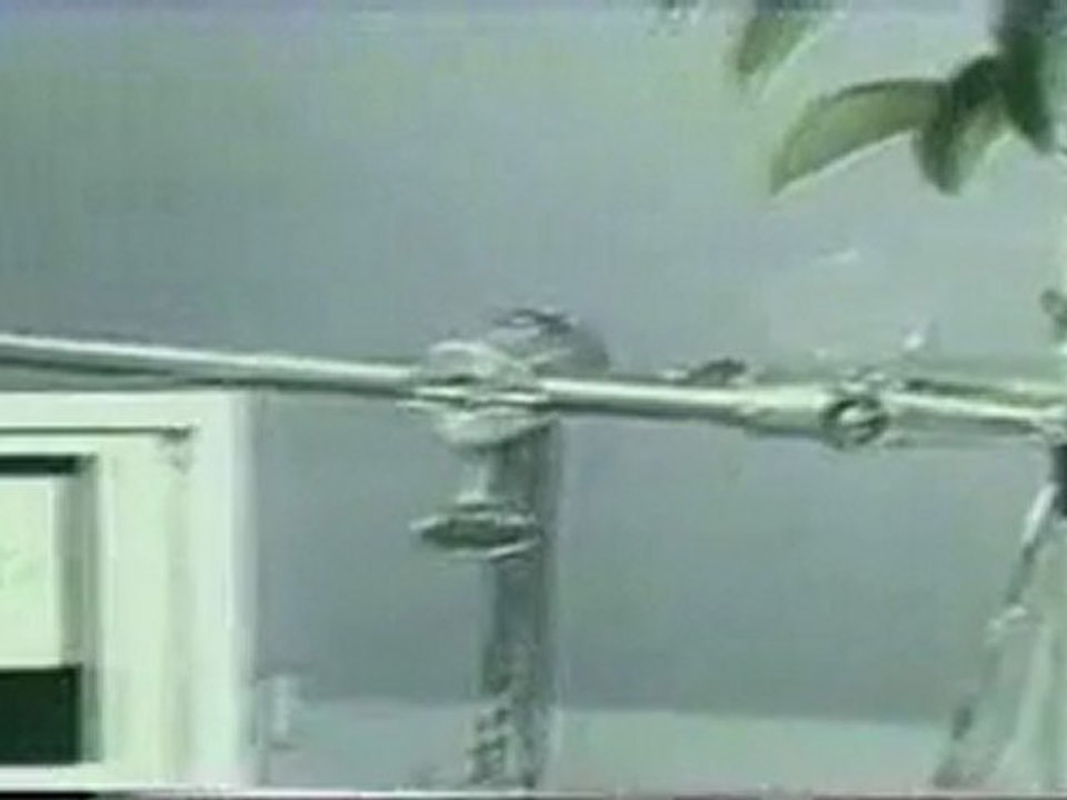 (DVD04) (21) EL AGUA Y LAS PLANTAS