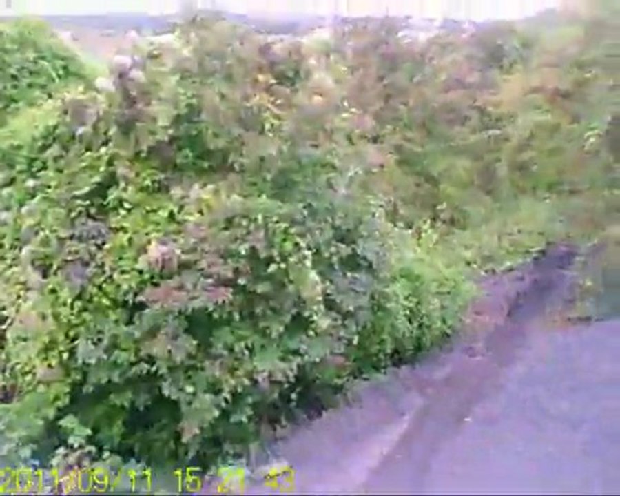 vtt eleu dit leauwette