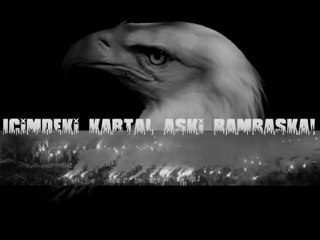 Hugo Miguel Pereira de Almeida