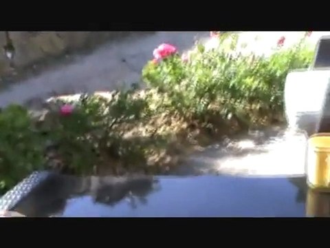 Comment quantifier l'huile de palme dans le nutella