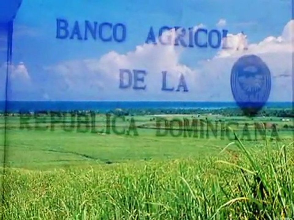 Realty TV Ing. Paino Abreu Banco Agricola 1