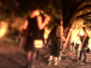 Art.35mm - Projections Sauvages N°003