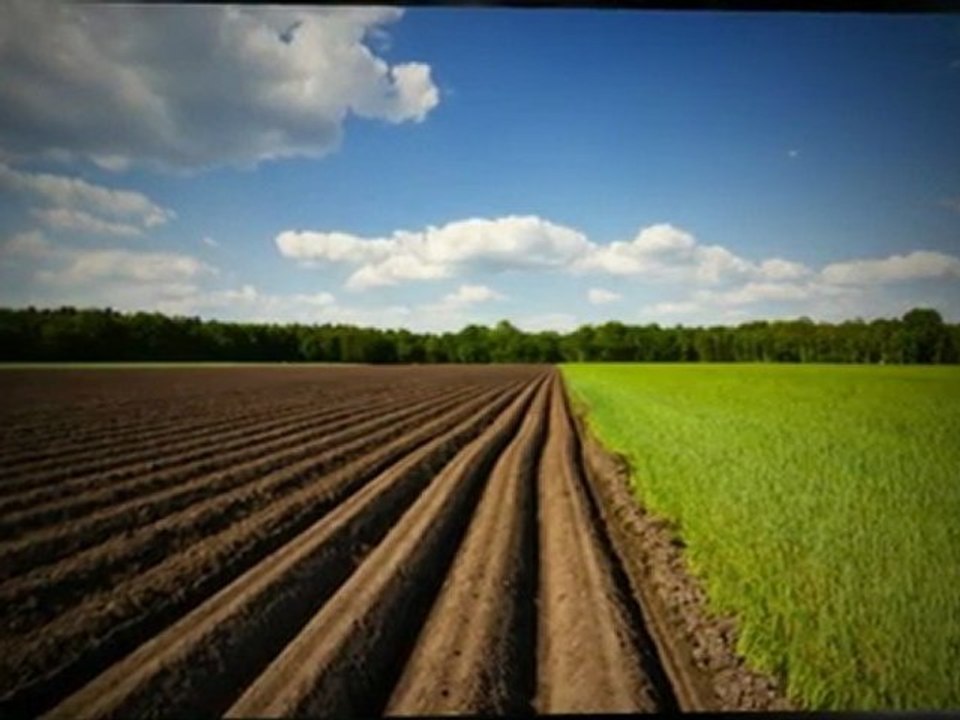 Real Estate Auction Kansas Bidding Strategies