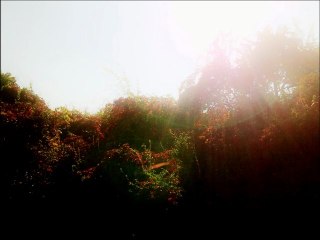 - Derajah Feat Big Youth & The Donkey Jaw Bone - RUN RUN -