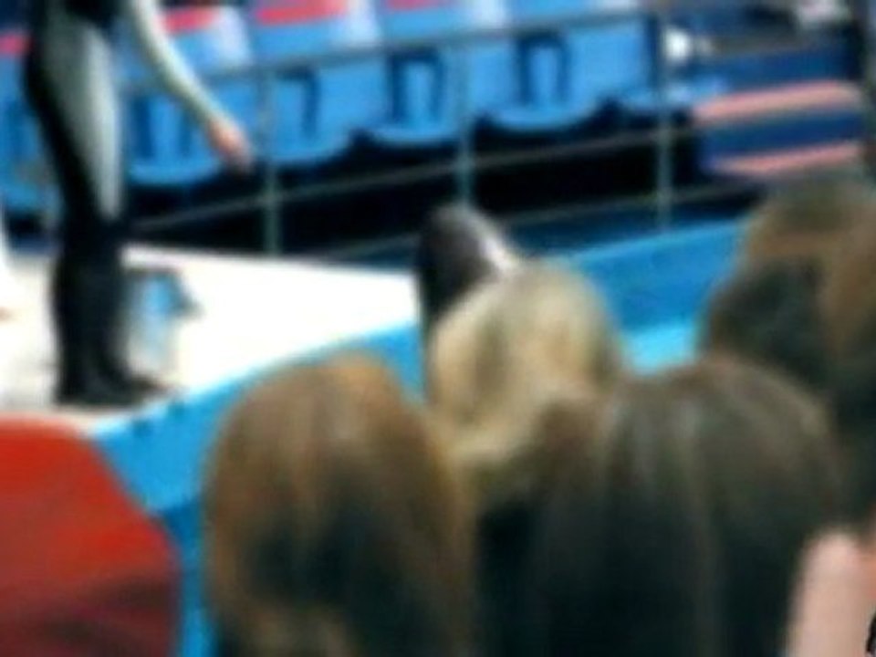 Amazon.com  Canon EOS Rebel T3 12.2 MP CMOS Digital SLR with 18-55mm IS II Lens and EOS HD Movie Mode (Black)  Camera   Photo