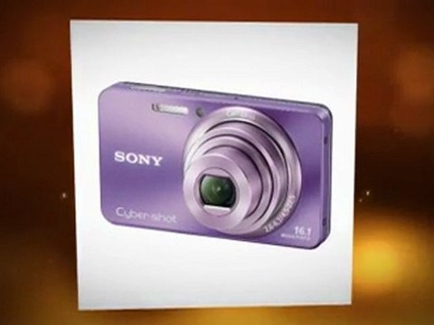 Sony Cyber-Shot DSC-W570 16.1 MP Digital Still Camera ...