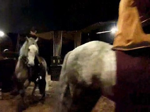 THEATRE EQUESTRE DE PICARDIE A TEMPO Marie Hélène GODBERT