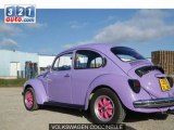 Occasion VOLKSWAGEN COCCINELLE MAUREILHAN