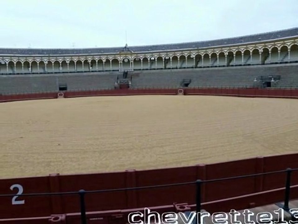 les arènes de Séville