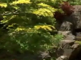 Grup Gezgin - Hele Hele Yar Yar