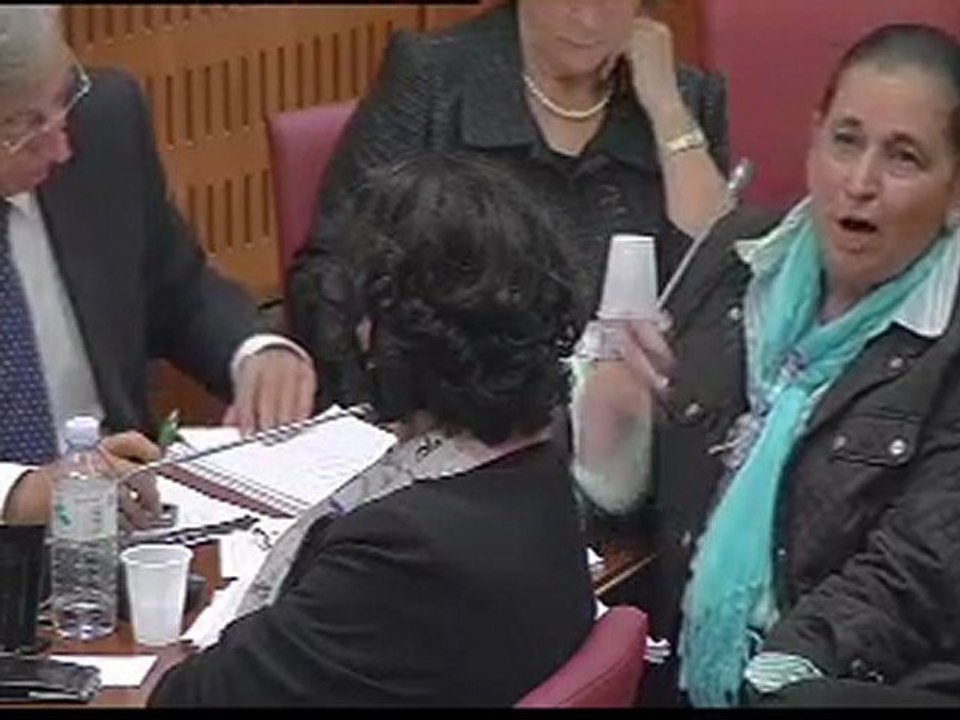 26/10/11 Budget 2012 action extérieure de l'état et médias