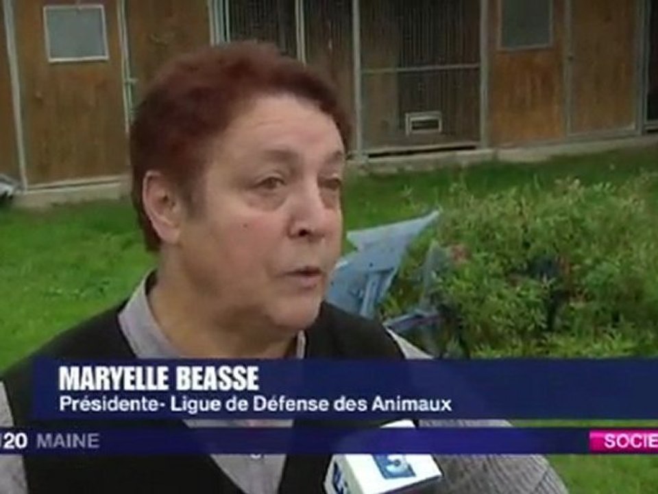 Pension pour animaux à Neuville-sur-Sarthe