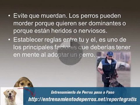 Como Adiestrar un Perro : Secretos del Adiestramiento Canino