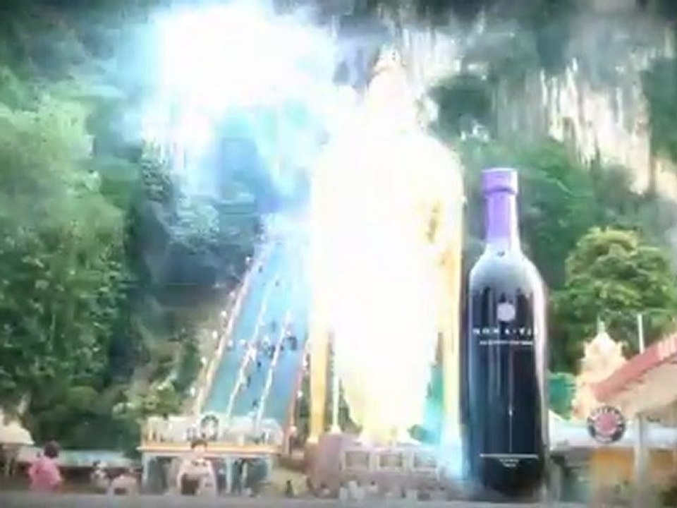 Multiple Level Marketing Companies, Watch the MonaVie Video