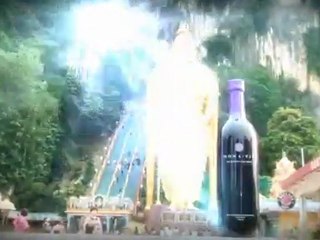 Multiple Level Marketing Companies, Watch the MonaVie Video