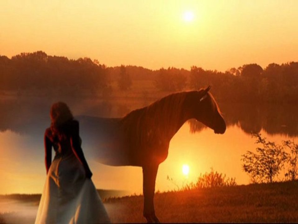 .Ƹ̵̡Ӝ̵̨̄`~.♥T.aime.♥~pour vous pour l'anniversaire.Ƹ̵̡Ӝ̵̨̄Ʒ