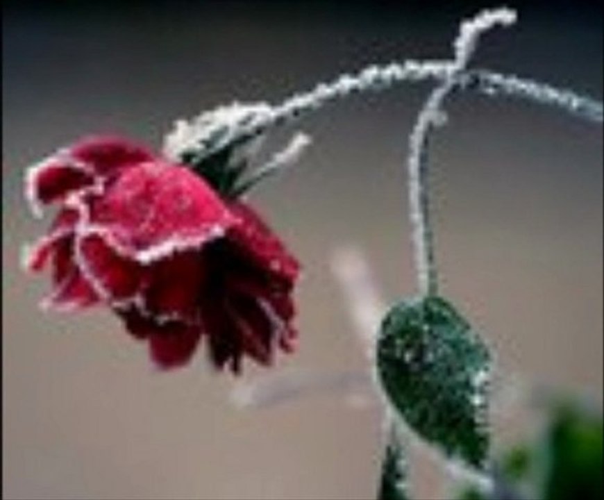 sinan özen-ezanlar bizim için-'erdal'