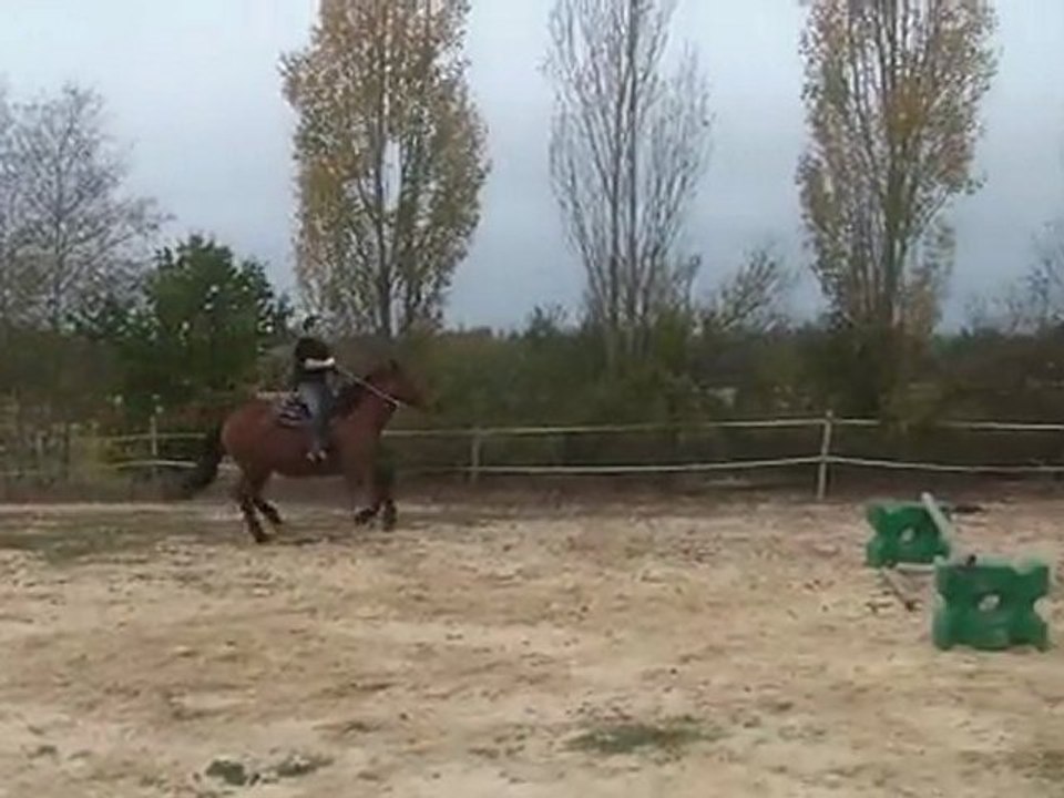 28.10.2011.m.cordelette