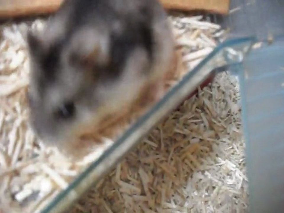 SAM_4323