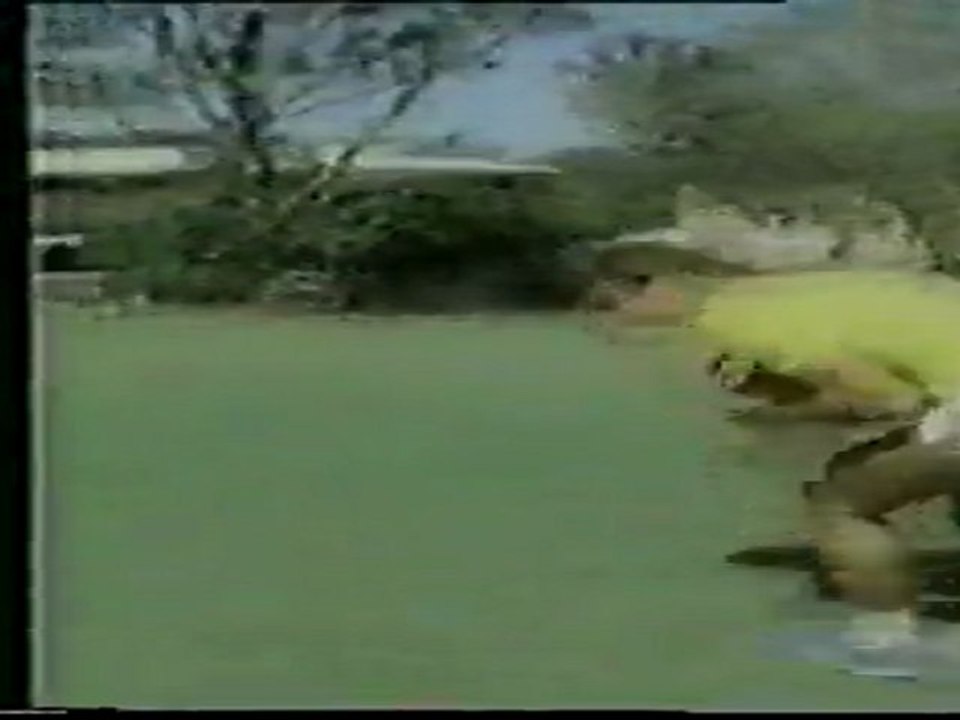 1.FUNCTIONAL ANATOMY