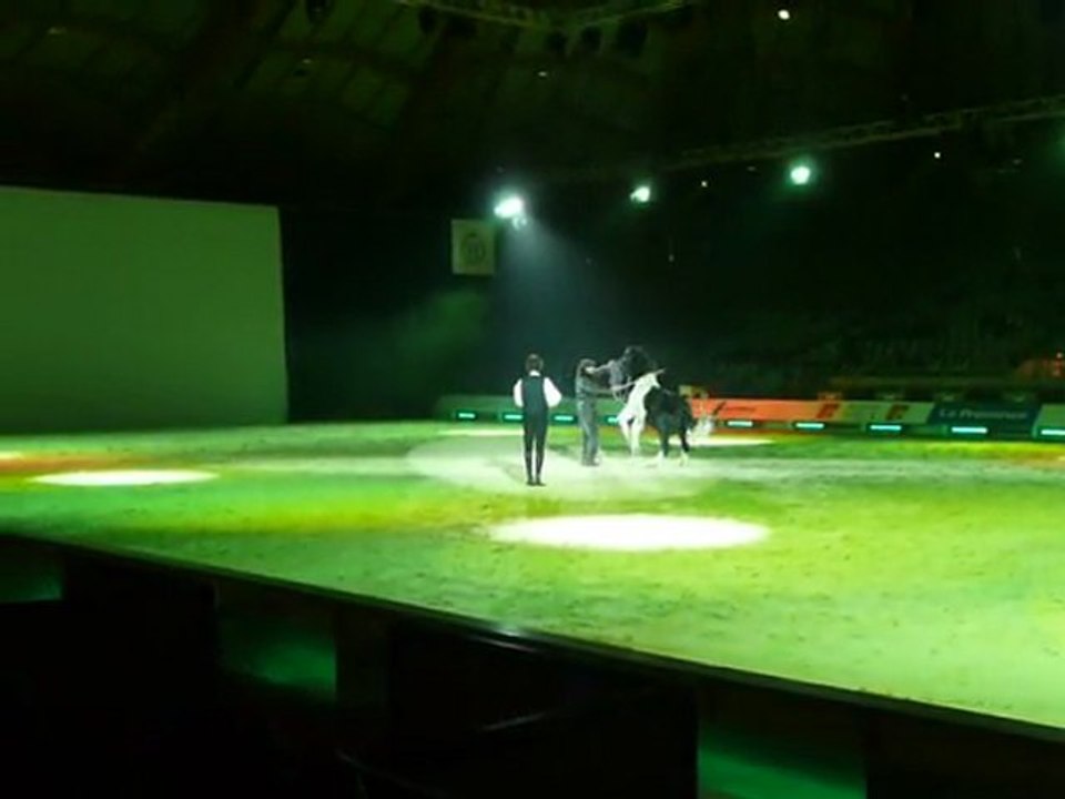 PACHA à cheval Passion