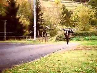 Wheeling en gas gas 280 txt pro