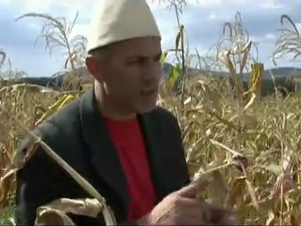 Lalush Sheherlia 2o11