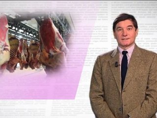 La critique littéraire : «Faut-il manger les animaux»