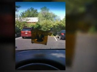 96124  auto glass installation