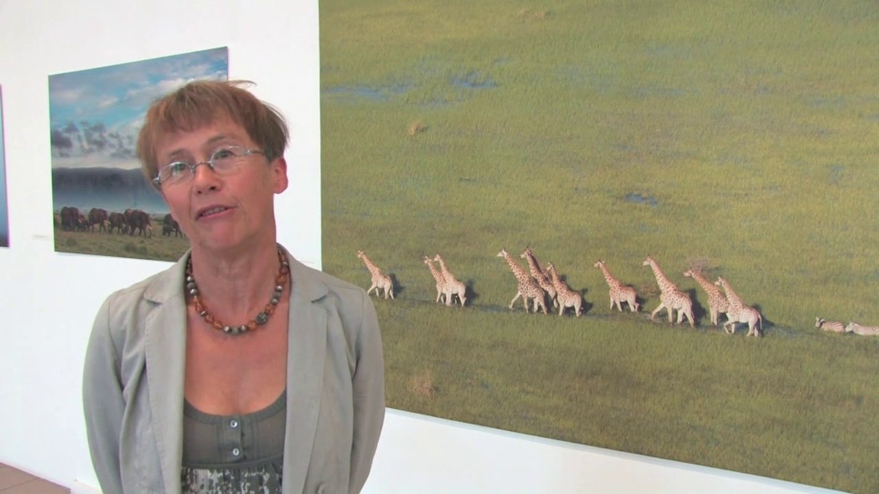 L'Oeil en Seyne 2011 - Reportage