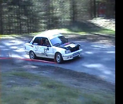 Rallye Monts Domes 2011