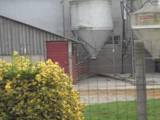 Présentation de l'élevage de porcs de Christiane Lambert