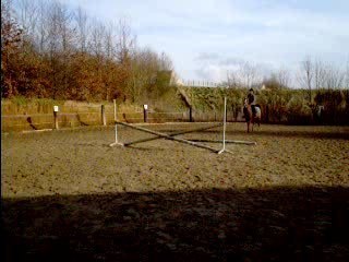 saut darling+moi
