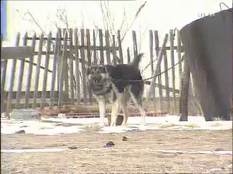 Les Secrets des Essais Nucléaires au Kazakhstan