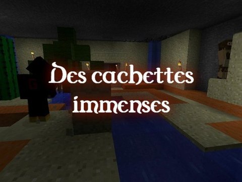 Minecraft Serveur Millenium : Faction ronin