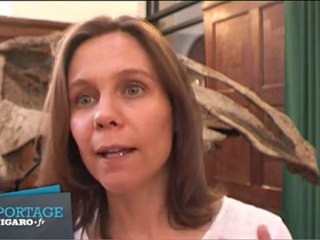 Des dinosaures grandeur nature à paris