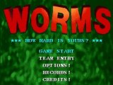 Worms SNES