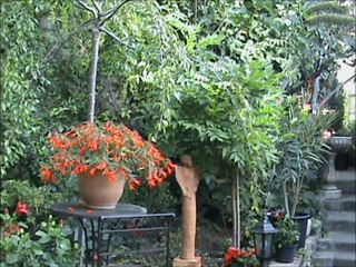 Interview à eden Parc octobre 2011