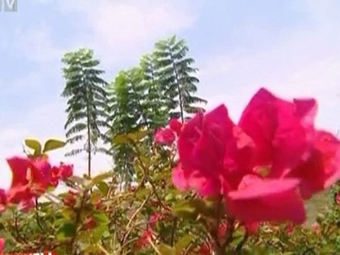 Kanikuly.v.meksike.(40.vypusk).28.10.2011.SATRip.[ riper.am]