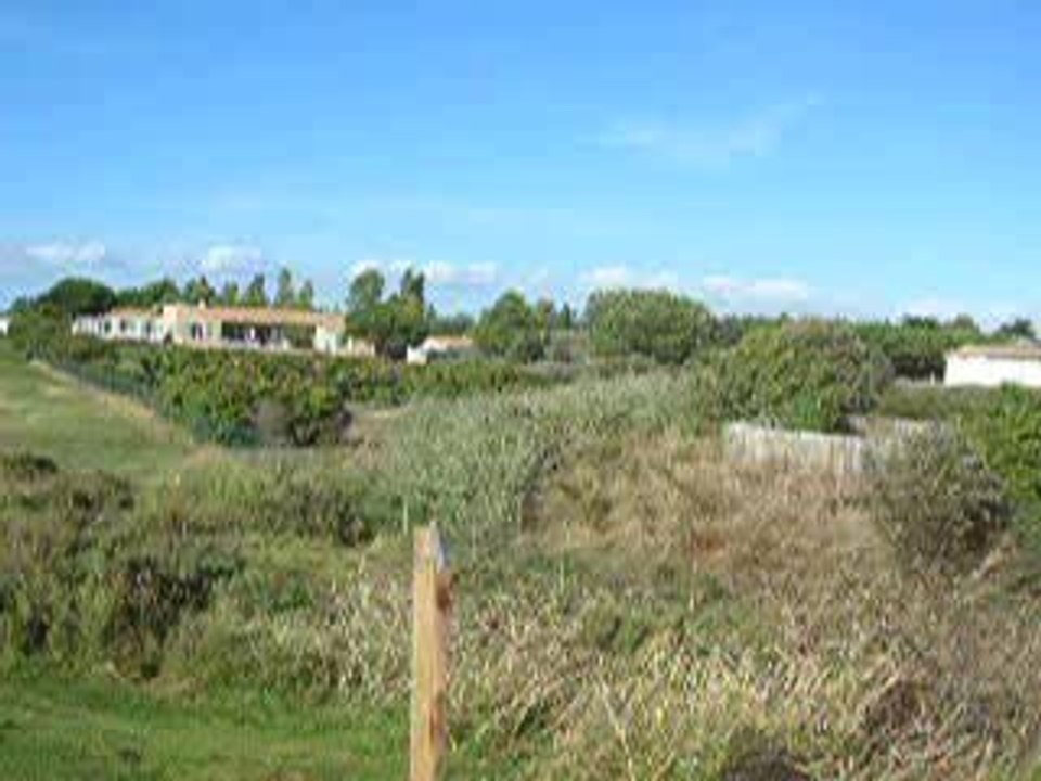 Ile de Ré